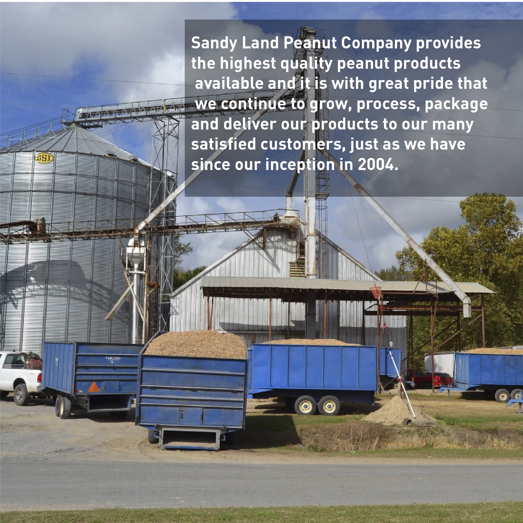 Sandy Land Peanuts - 25 Pounds