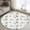 White, variant on Rectangle Area Rugs 2 x 3 Ft, Cartoon Animals Non-Slip Residential Carpet, Funny Dinosaur Tropical Plants Blue Green Indoor Crawling Mats Runner Rugs for Living Room/Dining Room/Bedroom