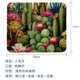 thumbnail image 5 of Alfombrilla de escritorio con diseño de cactus espinoso, alfombrilla pequeña para ratón, alfombrilla de goma para escritorio, alfombrilla para teclado, alfombrilla para ratón para trabajo,, 5 of 7