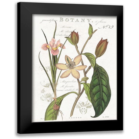 Schlabach, Sue 12x14 Black Modern Framed Museum Art Print Titled - Vintage Floral III Neutral