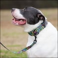 thumbnail image 2 of Country Brook Petz® Electric Leopard Reflective Martingale Dog Collar, Small, 2 of 7
