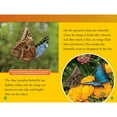 thumbnail image 4 of Animals That Change Color (National Geographic Kids Reader, Level 2), 4 of 4
