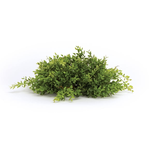 Home Decorative Mini Leaf Half Orb (Set of 6) 14"D Plastic