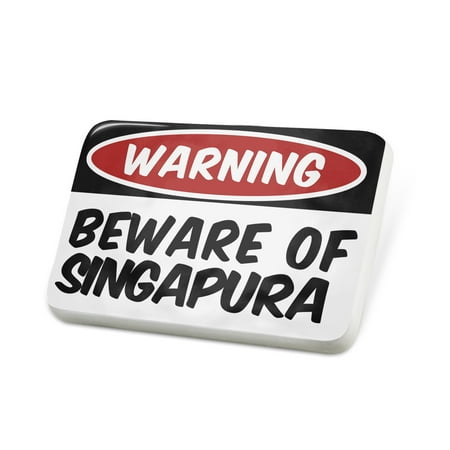 Porcelein Pin Beware of the Singapura Cat from Singapore Lapel Badge – NEONBLOND