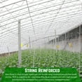 thumbnail image 3 of Farm Plastic Supply - String Reinforced 4 Year UV Resistant 10 mil Clear Greenhouse Plastic Sheeting - 4 Year UV Resistant Polyethylene Greenhouse Film, Hoop House Green House Cover (6' x 100'), 3 of 5
