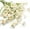 White, variant on 5 Stems 15.7" Artificial Daisy Flowers, Silk Cosmos Wildflowers Bouquet for Home Table Wedding Centerpieces, Red (No Vase)