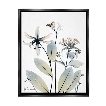 Stupell Industries Minimal Plant Blossoms Botanical & Floral Photography Black Floater Framed Canvas Art Print Wall Art 17 x 21