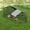 130'', variant on Chicken Coop, Chicken Run Pen for Yard with Cover Outdoor Metal Portable Chicken Tractor Cage Enclosure Crate Outside for Small Animals Duck Rabbit Hen 86"×40"