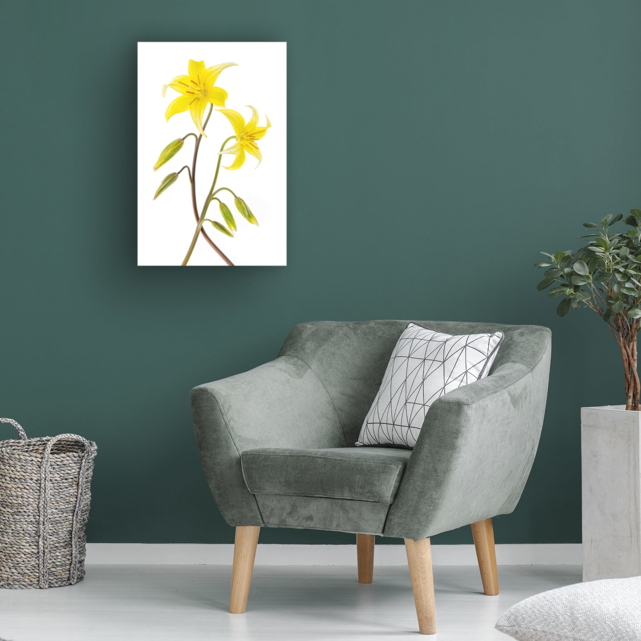 Trademark Fine Art Jacky Parker Dogtooth Violet Canvas Wall Art