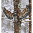 thumbnail image 2 of Owl Wall Decor - Wings Up - 33"x10.5"x15.5", 2 of 2