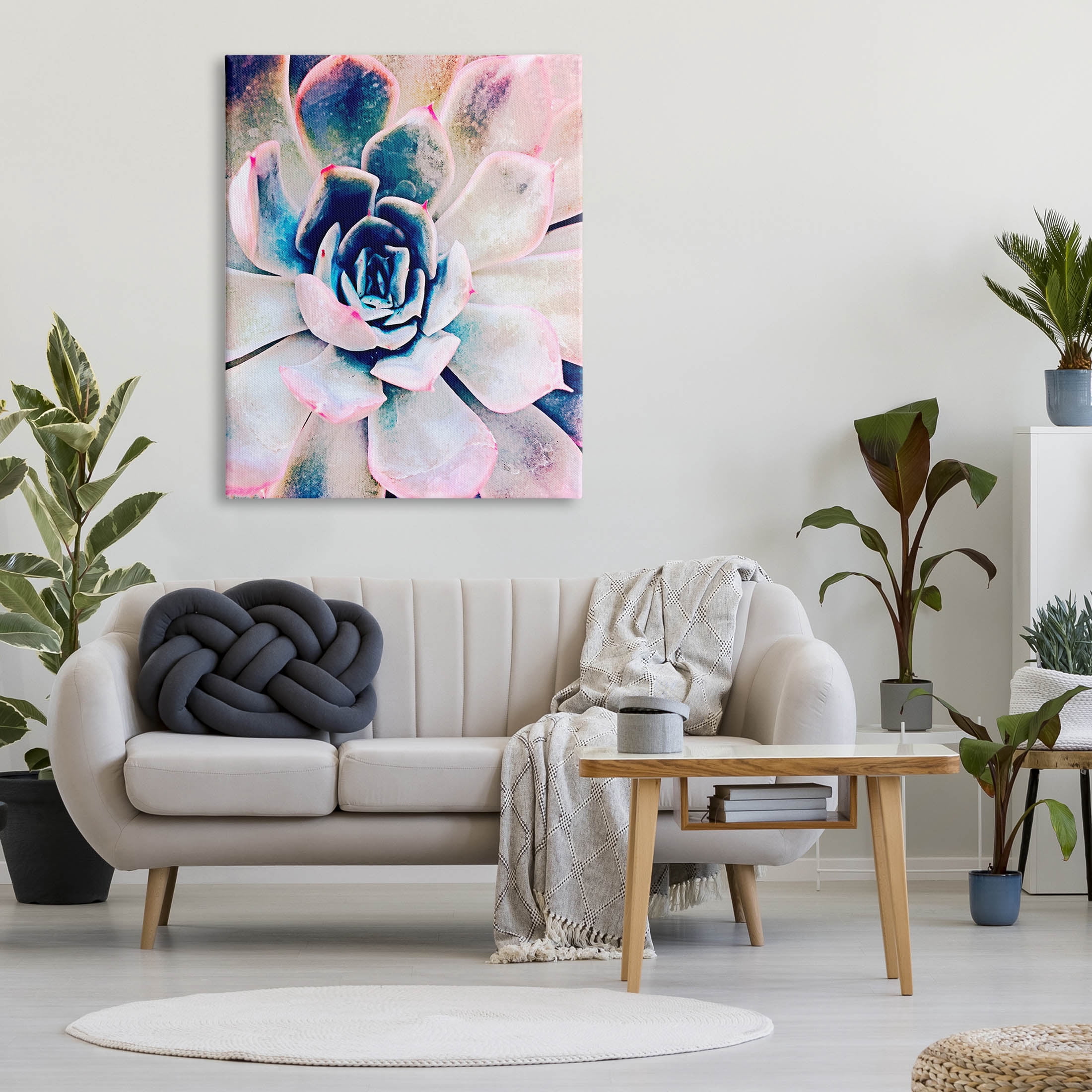 Modern Succulent Plant View Botanical & Floral Photograph Gallery Wrapped Canvas Print Wall Art