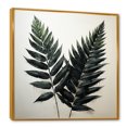 thumbnail image 2 of Designart "Spruce Leaves In Shadowed Black II" Leaves Floater Framed Wall Decor, 2 of 5