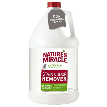 Nature's Miracle Stain and Odor Remover for Dogs, 1 (Best Dog Urine Stain Remover)