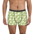 thumbnail image 2 of Bingfone Daisies Flowers Men's Underwear - Casual Stretch Boxer Briefs-Small, 2 of 7
