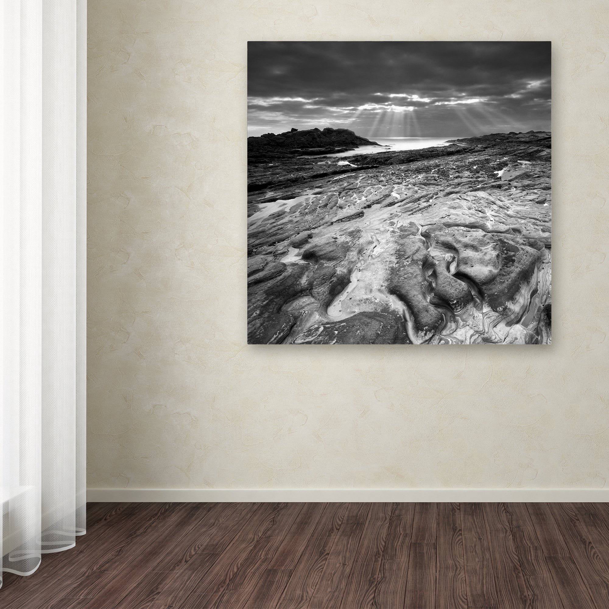 Trademark Fine Art "Sunset at Point Lobos" Canvas Art by Moises Levy