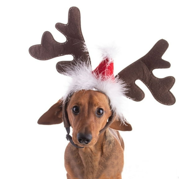 Christmas Pet Headband with Big Deer Antlers and Scarf, Festive Costume for Medium to Large Dogs, Holiday Party Accessory for Photos and Celebrations