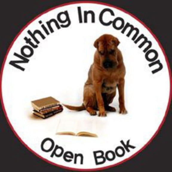 Nothing in Common - Open Book - Music & Performance - CD