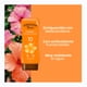 thumbnail image 5 of Protector Solar Hawaiian Tropic Carrot zanahoria 10 FPS 240 ml, 5 of 6