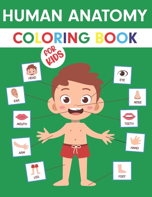 Human Anatomy Coloring Book For Kids My First Anatomy Book Body