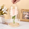 thumbnail image 3 of PH Cloche Glass Dome Decorative Display Case Clear Glass Display Dome with Top Handle Cloche Bell Jar Dome Cover for Plants Flower Cake Clay Succulents Christmas Display 8.3x4.7 inch Clear, 3 of 6