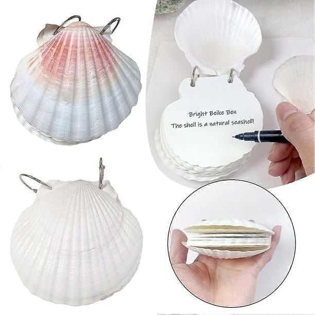 Cute Seashell Diary Notebook, Shells Textures Sea Ocean Journals for Writing Journal, Portable Loose-leaf Shell Sketchbook