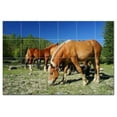 thumbnail image 1 of Horse Ceramic Tile Mural Kitchen Backsplash Bathroom Shower, 402865-M64, 1 of 3