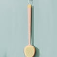 thumbnail image 7 of LEFTHIGH Home Shower Brush with Long Handle, Soft Body Brush, Back Scrubbers for Shower, Gentle Exfoliation and Improved Skin Health, Suitable for Men and Women Christmas, 7 of 7