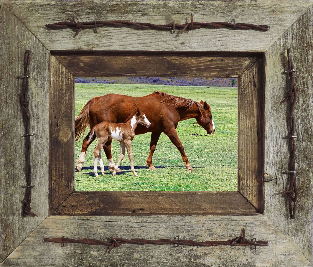 Farm Distressed Decor Cowboy Handmade Rusty Barbed Wire Frame Rustic Picture Frame w barb wire