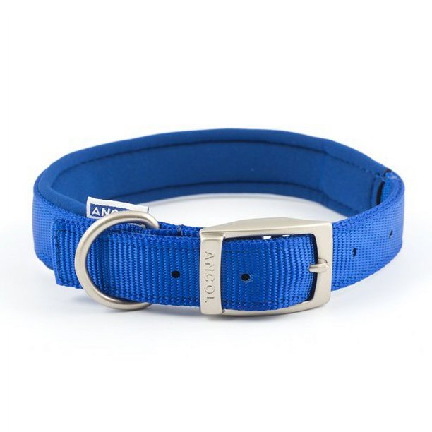 Ancol - Collar acolchado de nylon con hebilla para perros (Azul)