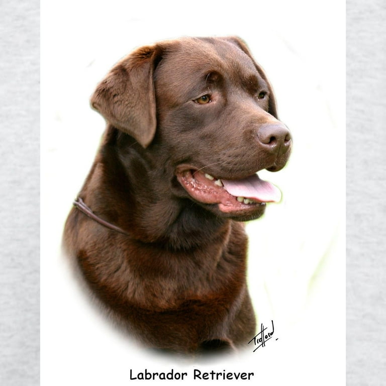 CafePress - Labrador Retriever 9Y243D 004A Sweatshirt - Crew Neck