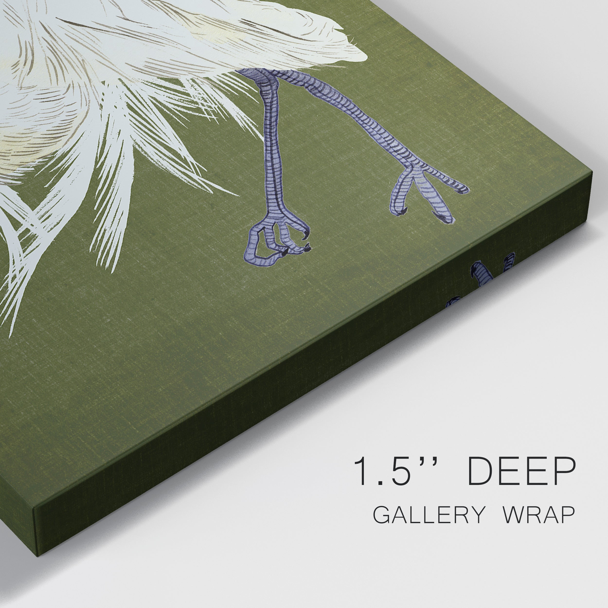Heron Plumage II Premium Gallery Wrapped Canvas - Ready to Hang