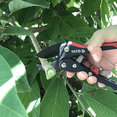 thumbnail image 5 of Pruning Shears, Non-Stick Blade General Purpose Pruner For Easy Cleaning, Anvil Design For Secure Cutting, Lightweight With Ergonomic Handles, Perfect For Farm Work And Home, 5 of 5