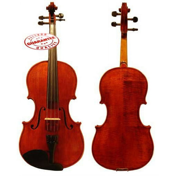 D'Luca Orchestral Series Viola Outfit 15.5 Inches