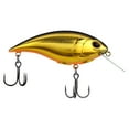 thumbnail image 2 of Berkley Shallow Money Badger Fishing Crankbait, 2.5 in, Hybrid Baitfish-Crayfish, 2 of 6