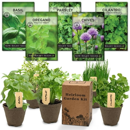 5 Herb Garden Kit - Grow 5 Non GMO Herbs at Home, Includes Pots & Soil - For Planting Herbs Indoors - Sow Right Seeds
