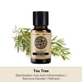 thumbnail image 3 of AKARZ Tea Tree Essential Oils 0.34 fl.oz./10ml Pure And Naturel Aromatherapy Face Body Skin Care Massage Aroma Perfume Oil, 3 of 7