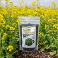 thumbnail image 4 of Old Cobblers Farm™ Wicked Tuff Turf Indian Mustard (Brassicas) (5 lbs | 10 lbs | 15 lbs | 20 lbs) (15lbs), 4 of 12