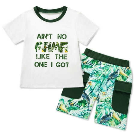 

6M-5T Boys Summer Short Sets Outfits Cotton Casual Crewneck Short Sleeve Shirt Shorts Playwear Clothes Sets