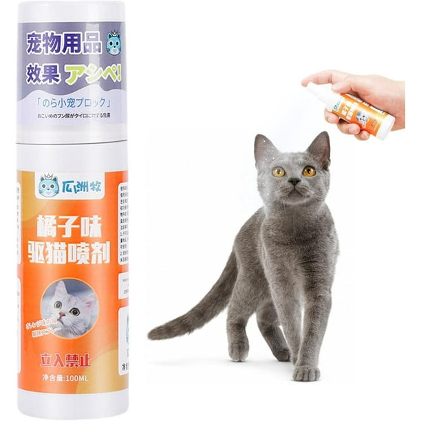 Pet corrector top for cats