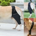 thumbnail image 6 of Gostoto Pet Dog Fixed Knee Brace Fracture And Disability Dog Leg Auxiliary Belt Pet Joint Protector, 6 of 7