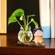 thumbnail image 3 of 2x Lindo Jarrón de Flores Hidropónicas de Chica Tang Maceta Decorativa de Vidrio Transparente Estilo B, 3 of 9