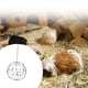 thumbnail image 4 of Greeniant Bola de alimentación de hierbas para mascotas, reemplazo colgante portátil, dispensador de aperitivos para el hogar anticorrosivo, accesorios Suministros de alimentación y agua para Greeniant PT005078-01, 4 of 6