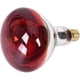 thumbnail image 1 of 275w Infrared Physiotherapy Lamp - 220v Electromagnetic Wave Treatment for European Market, 1 of 5