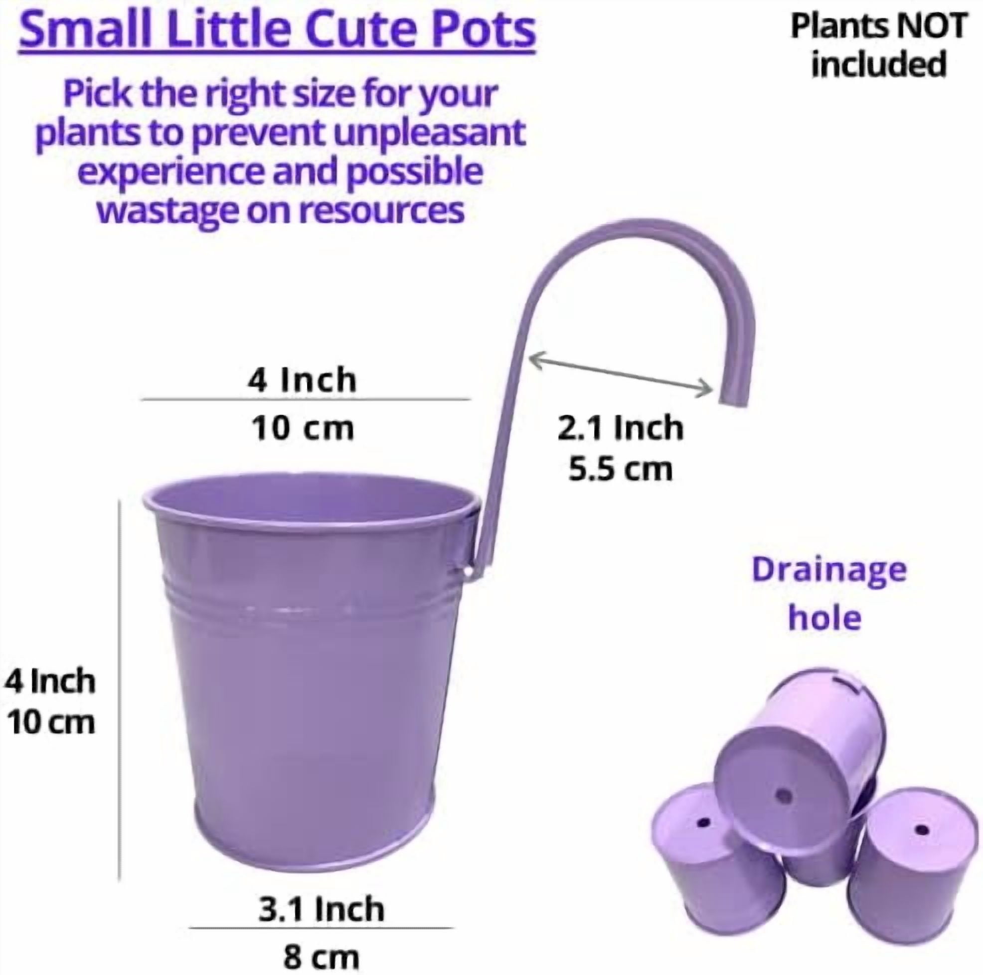 LaLaGreen Hanging Planter Outdoor - 10 Pack, 4 Inch Fence Planters Outdoor Purple Hanging Window Flower Bucket Metal Succulent Pots Balcony Railing Wall Garden Deck Porch Herb Plant Macetas Exterior