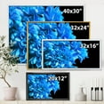 thumbnail image 4 of Designart 'Detail of Blue Flowers On Black Background I' Traditional Framed Canvas Wall Art Print, 4 of 5