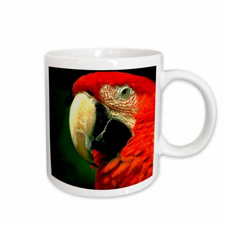 

3dRose Green-Winged Macaw Ceramic Mug 11-ounce
