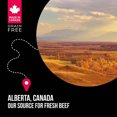 thumbnail image 5 of Adult Feline - SubZero Grain Free - Prairie Red - Dry Cat Food, 5 of 5