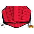 thumbnail image 5 of Hilason Adult Safety Equestrian Eventing Horse Riding Protective Vest, 5 of 7