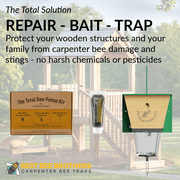 Best Bee Brothers Bee-Fense Kit for Repairing Carpenter Bee Damage, Carpenter Bee Repellent, 50 mL