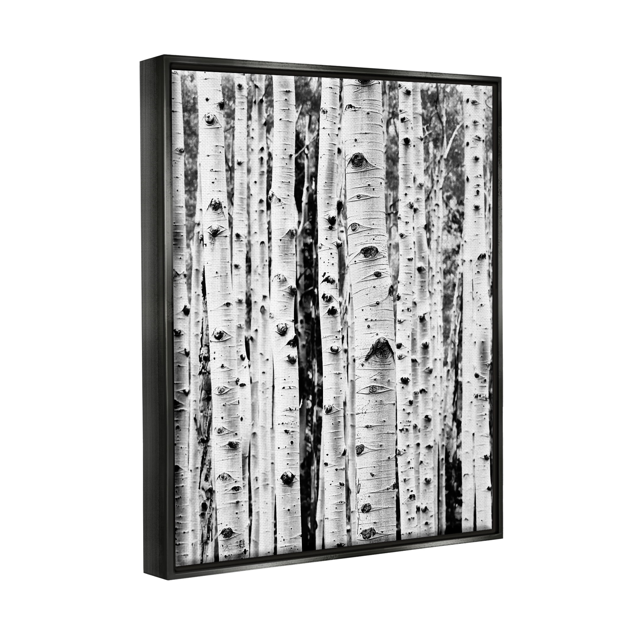 Stupell Industries Birch Trees Forest Nature Photography Black Floater Framed Art Print Wall Art, 25 x 31